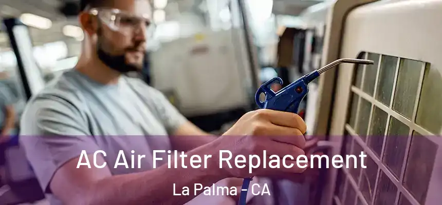 AC Air Filter Replacement La Palma - CA