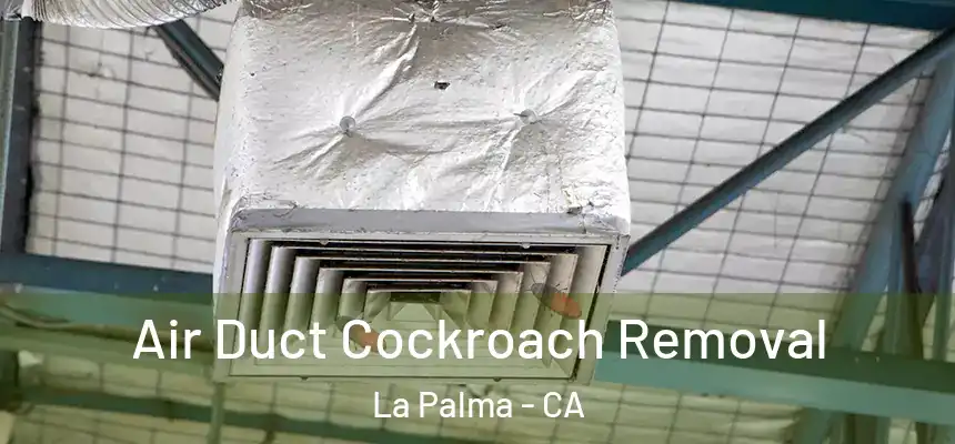  Air Duct Cockroach Removal La Palma - CA