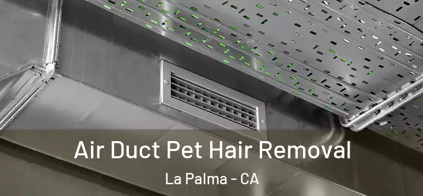  Air Duct Pet Hair Removal La Palma - CA