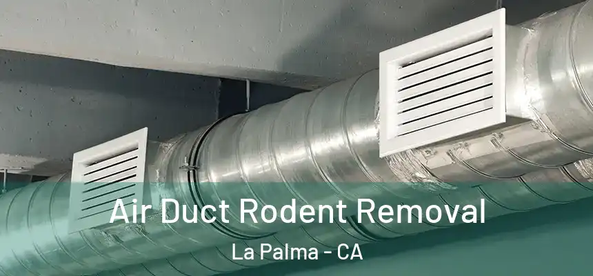  Air Duct Rodent Removal La Palma - CA