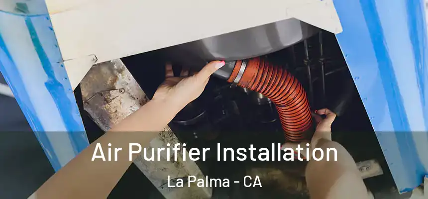  Air Purifier Installation La Palma - CA