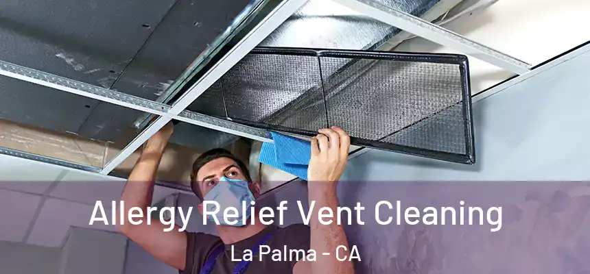  Allergy Relief Vent Cleaning La Palma - CA