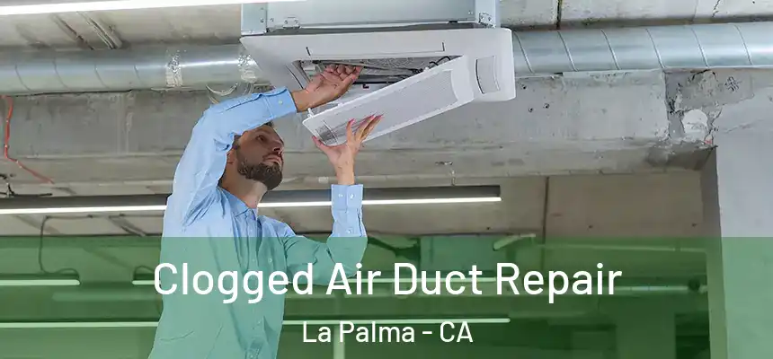 Clogged Air Duct Repair La Palma - CA