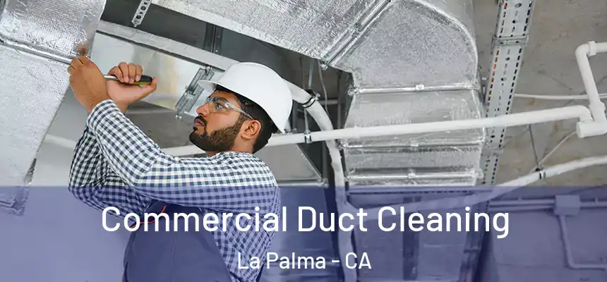 Commercial Duct Cleaning La Palma - CA