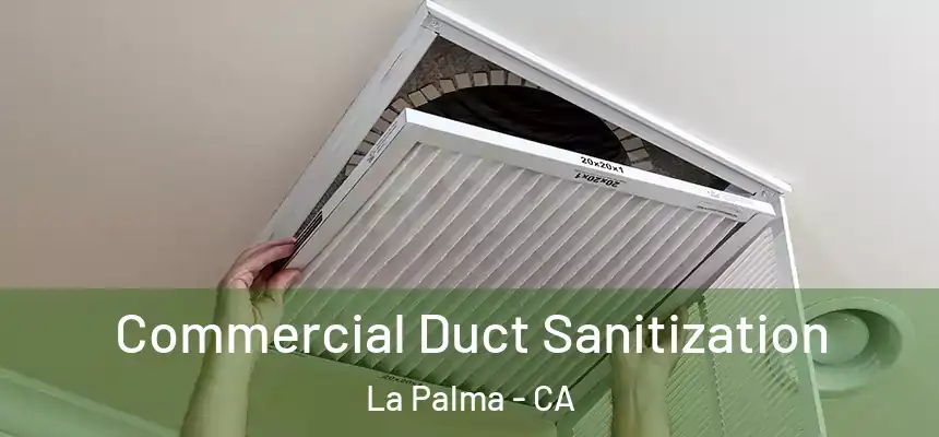 Commercial Duct Sanitization La Palma - CA