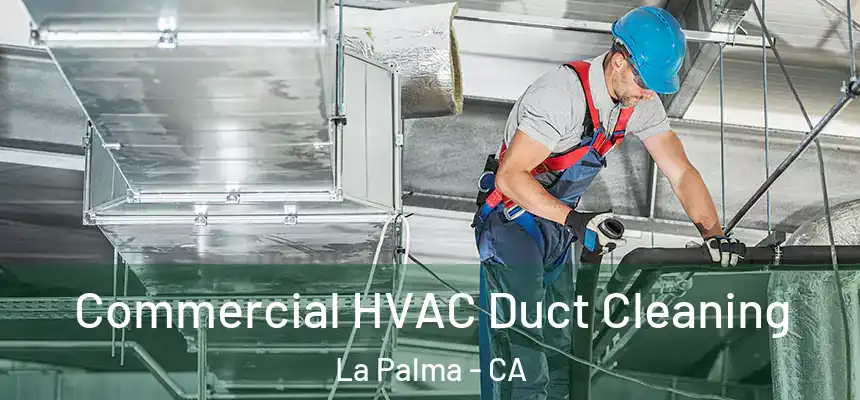 Commercial HVAC Duct Cleaning La Palma - CA