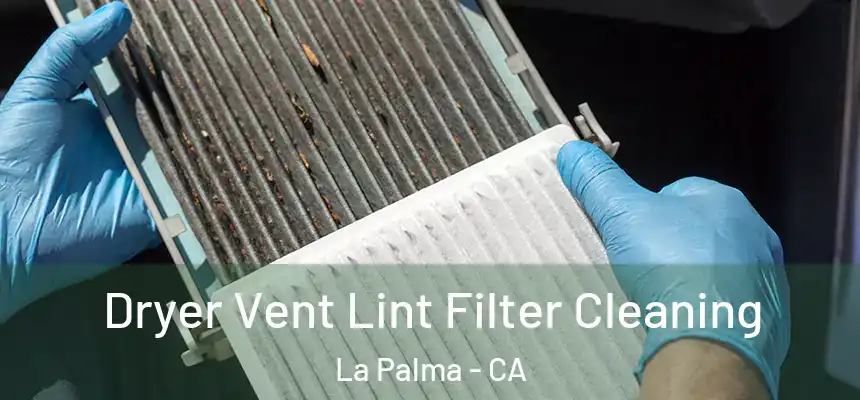  Dryer Vent Lint Filter Cleaning La Palma - CA