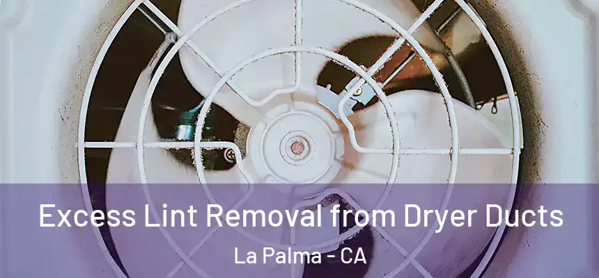 Excess Lint Removal from Dryer Ducts La Palma - CA