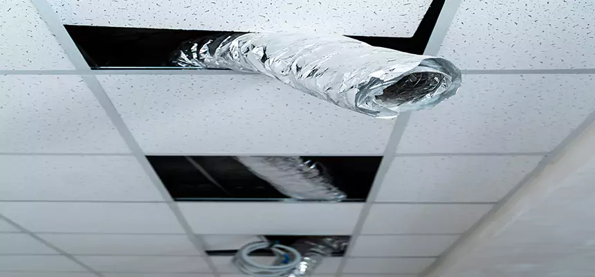 Affordable HVAC Sanitizing After Pest Removal in La Palma