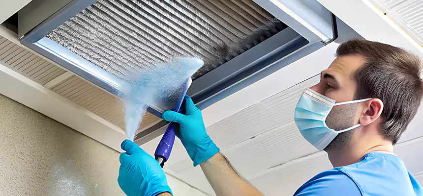 Proactive Dryer Vent & Auxiliary Duct Pollen Cleanup in La Palma, CA