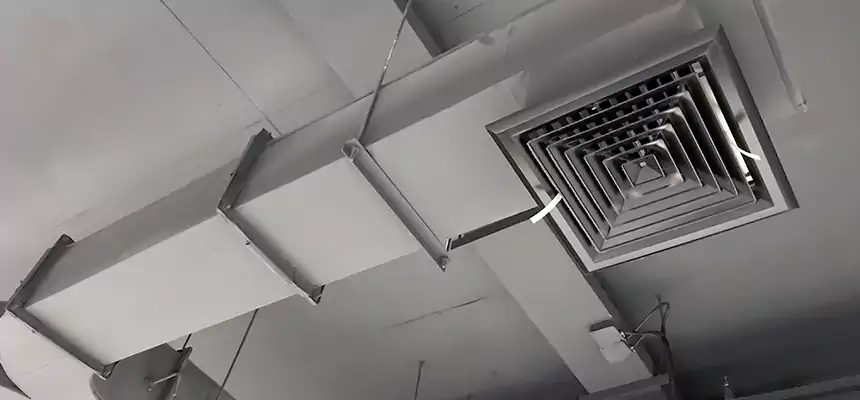 Restorative Allergy Relief Vent Cleaning – Coil, Blower & Housing Detail in La Palma