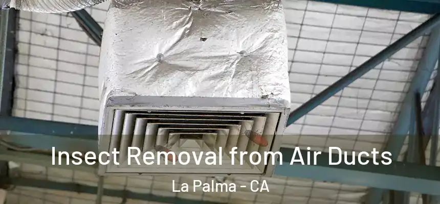  Insect Removal from Air Ducts La Palma - CA