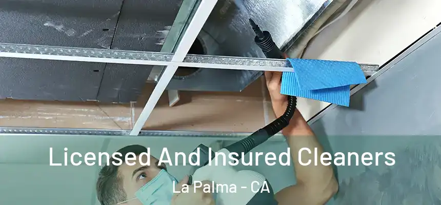 Licensed And Insured Cleaners La Palma - CA