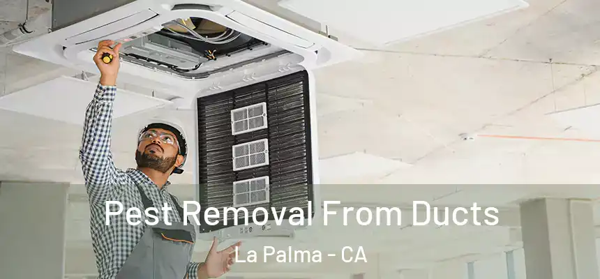 Pest Removal From Ducts La Palma - CA