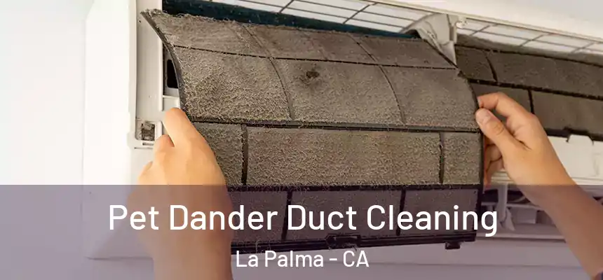  Pet Dander Duct Cleaning La Palma - CA