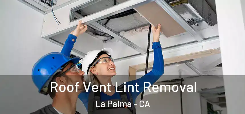 Roof Vent Lint Removal La Palma - CA