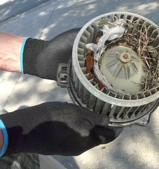 About Air Duct Mice Removal in La Palma, CA