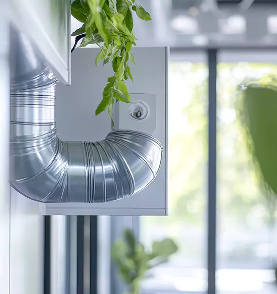 Professional Eco-Friendly Duct Cleaning Services in La Palma, CA