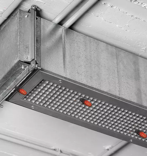 Affordable Insect Removal from Air Ducts in La Palma, CA