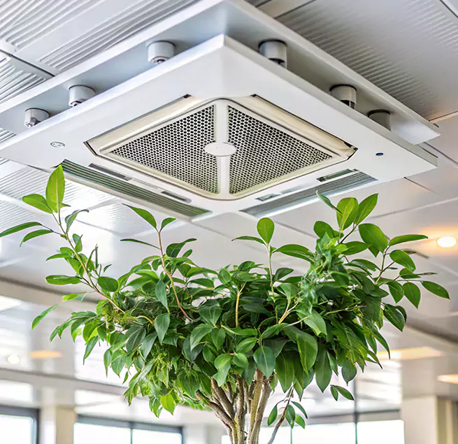 Why Homeowners & Businesses Trust Us in La Palma, CA?