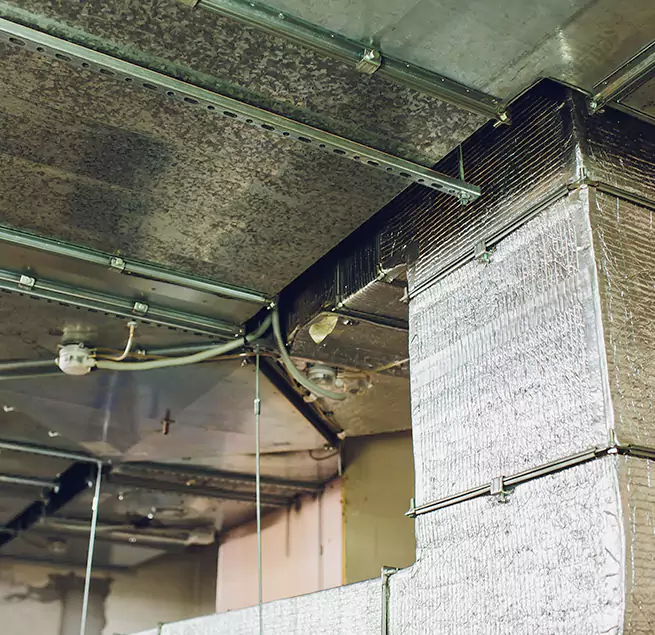 Why Homeowners & Businesses Trust Us in La Palma, CA?