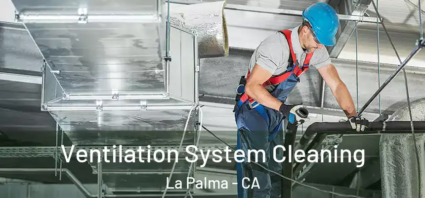 Ventilation System Cleaning La Palma - CA